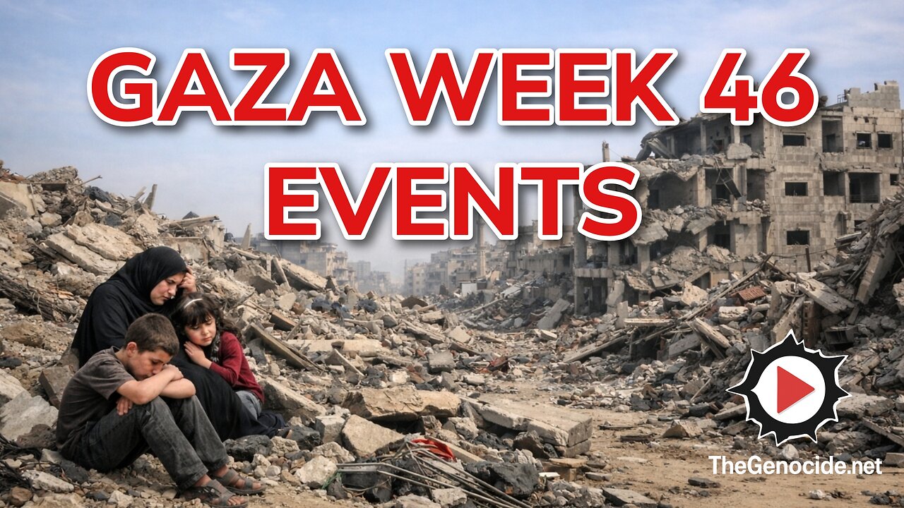 Gaza Week 46 Events Compilation